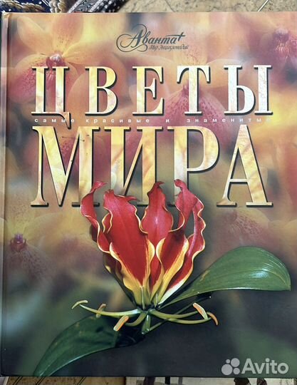 Книги для Анны