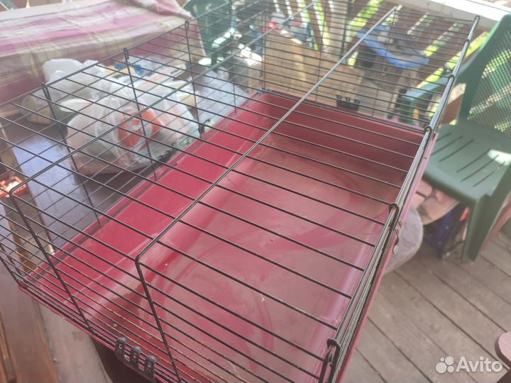 Клетка Savic большая