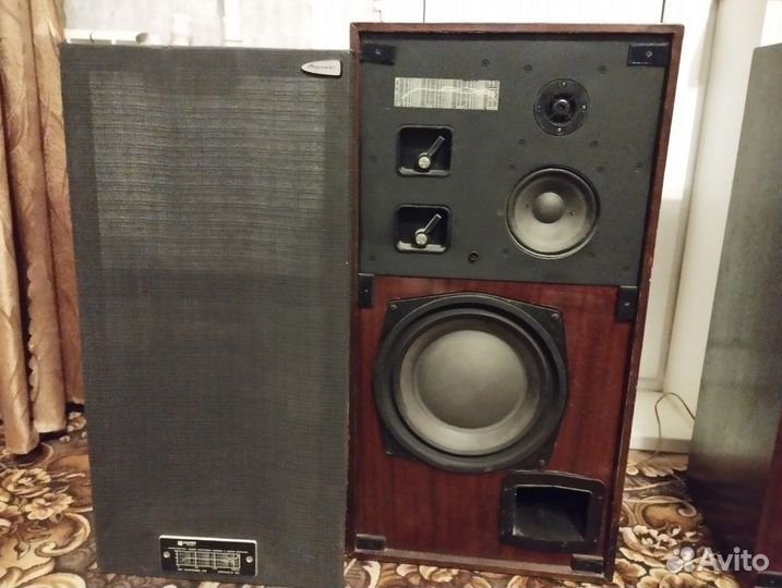 Колонки радиотехника 35ас -1(S 90)