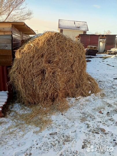 Солома в мешках