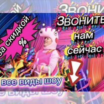 Аниматор, Звенигород