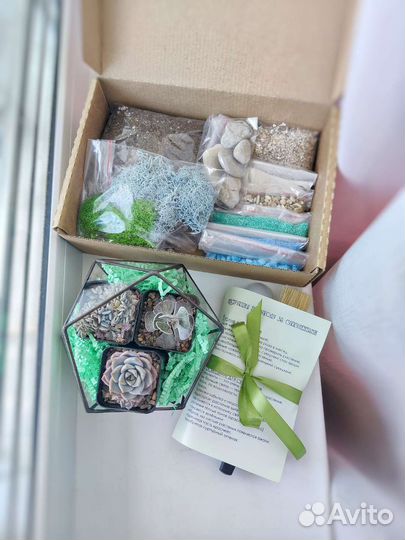 Набор для создания флорариума