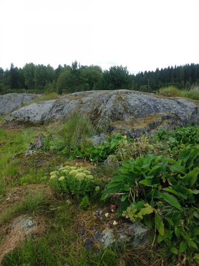 Дом 48,9 м² на участке 15 сот.