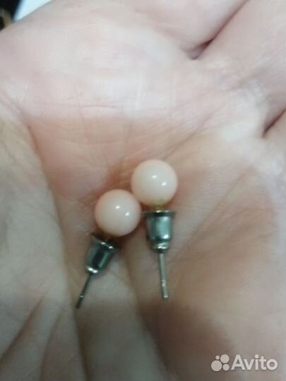 Набор из натур. кораллов