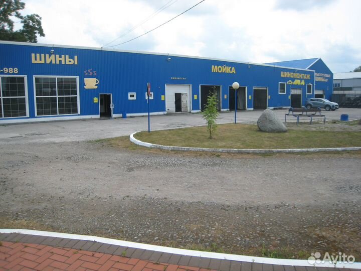 Michelin Pilot Alpin 225/50 R16