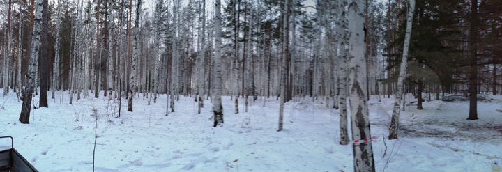 Участок 18 сот. (ИЖС)