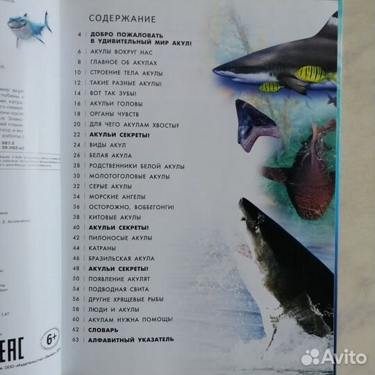 Энциклопедия про Акул