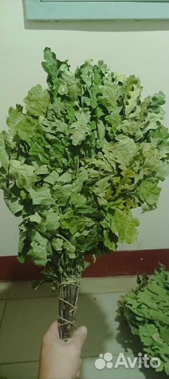 Дубовые веники для бани