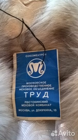 Голубой песец