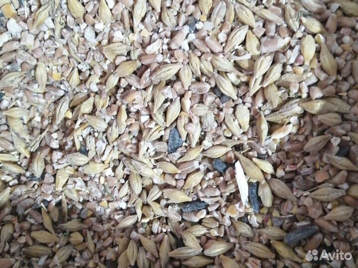 Ячмень,пшеница,зерносмеси,отруби, кукуруза