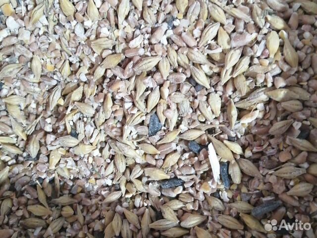 Ячмень,пшеница,зерносмеси,отруби, кукуруза