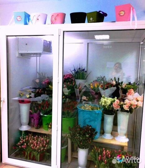 Холодильная камера для цветов