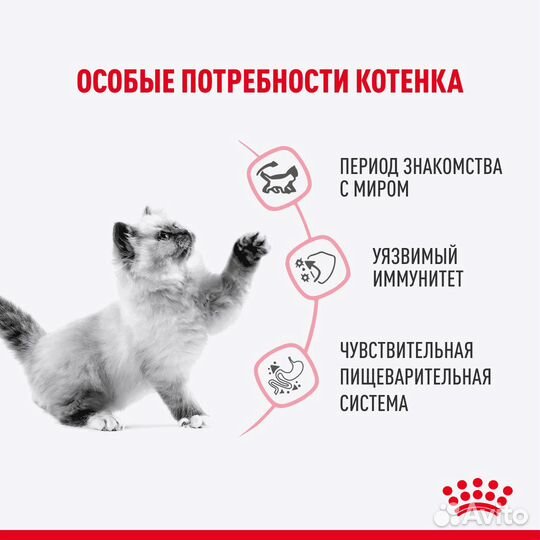 Royal Canin паучи для стерилизованных котят (в воз