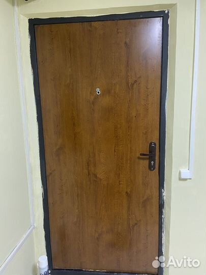 Входная железная дверь