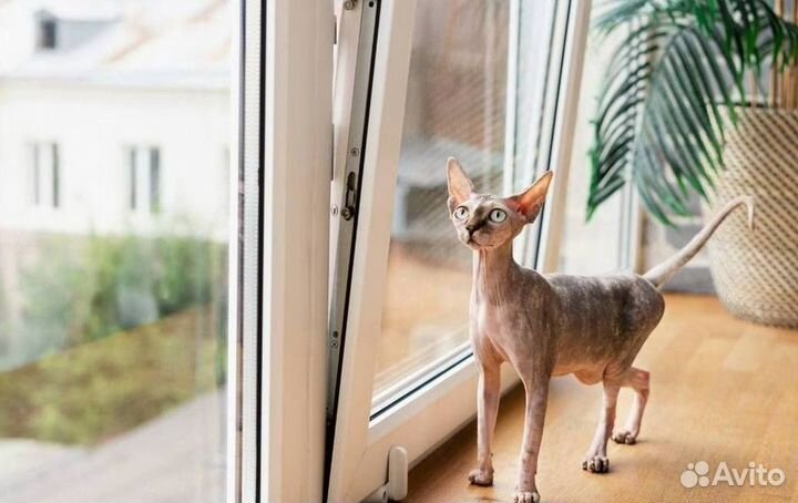 Пластиковые окна на заказ