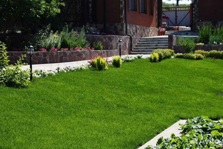 Рулонный газон /продажа/укладка