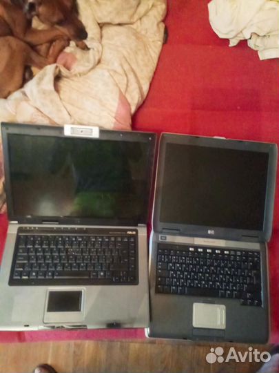 Ноутбуки хп, asus