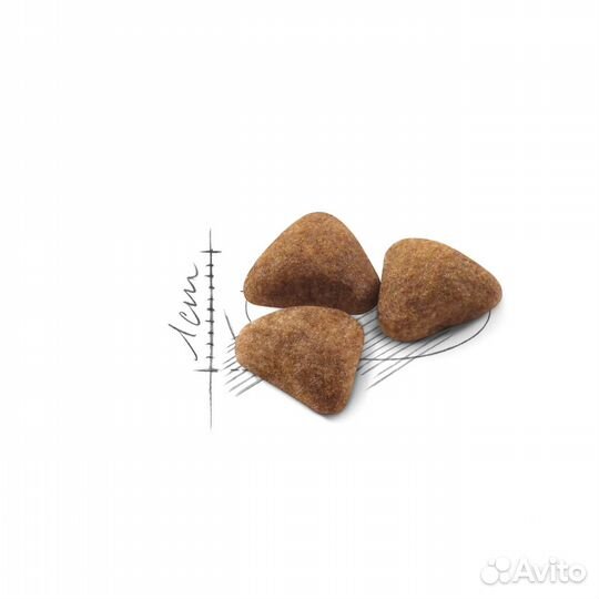 Корм Royal Canin для домашних кошек c нормальным в