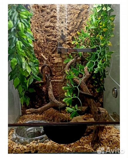 Фон для террариума из пробковой коры