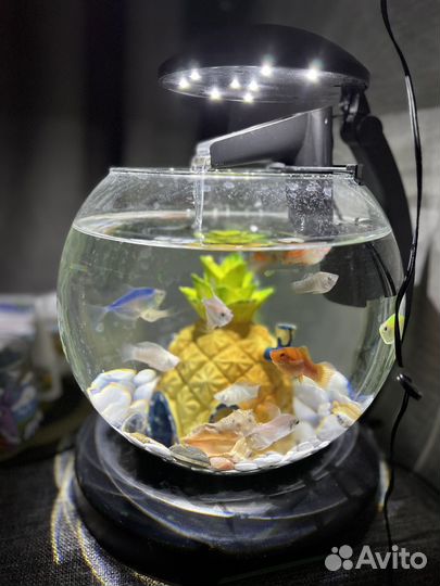 Аквариум для рыб Cascade Globe 6.8 л