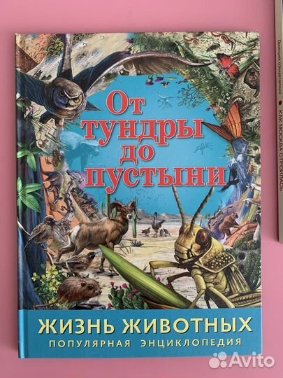 Энциклопедия жизнь животных