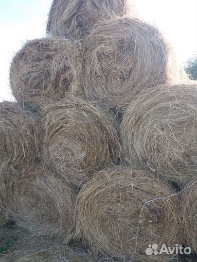 Сено луговое