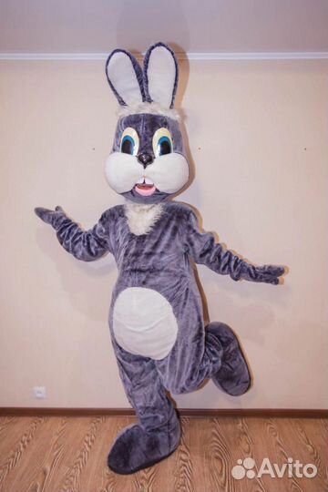 Ростовой костюм