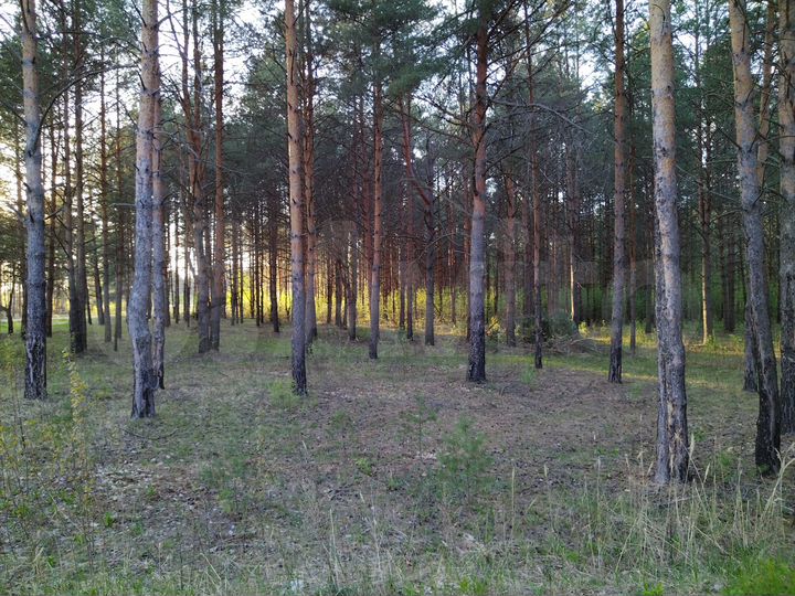 Участок 50 сот. (СНТ, ДНП)