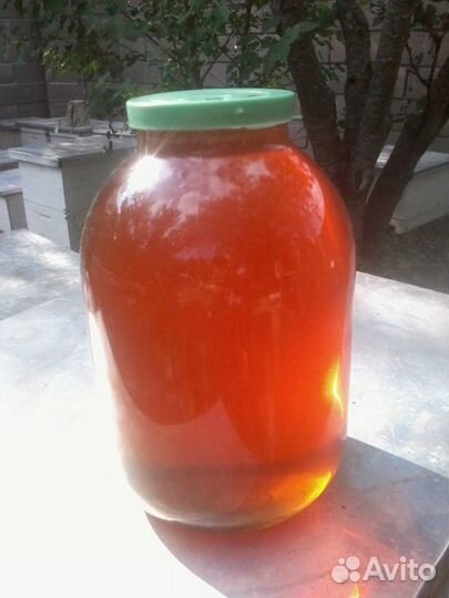 Мед фиолентовский, горный крымский