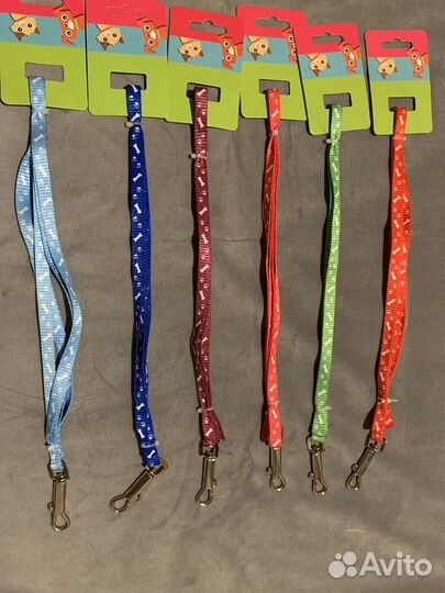 Ошейник и поводок для животных