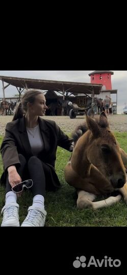 Репетитор русский язык/ английский язык