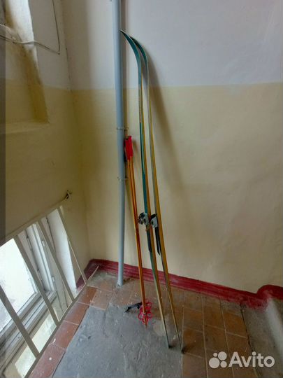 Беговые лыжи