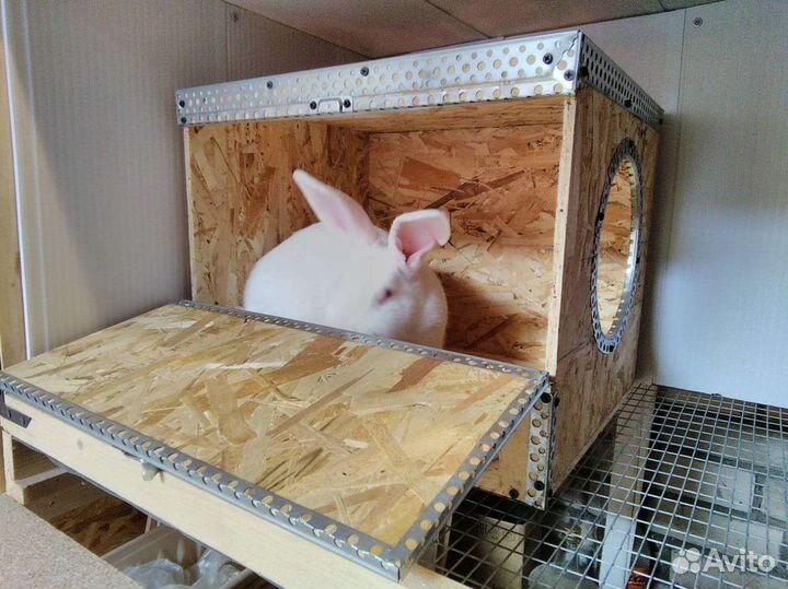 Клетка универсальная (кролики, цыплята)