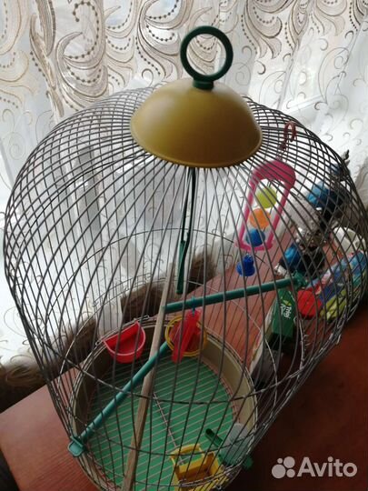 Клетка для попугая