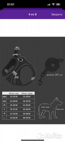 Шлейка для маленькой собаки