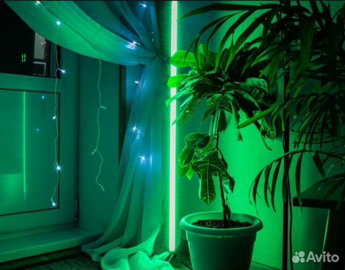 Неоновая лампа