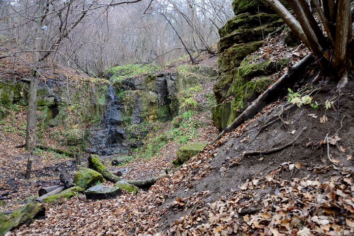 Участок 100 сот. (ИЖС)