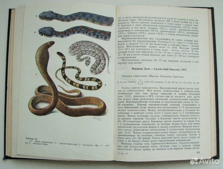 Определитель земноводных и пресмыкающихся СССР