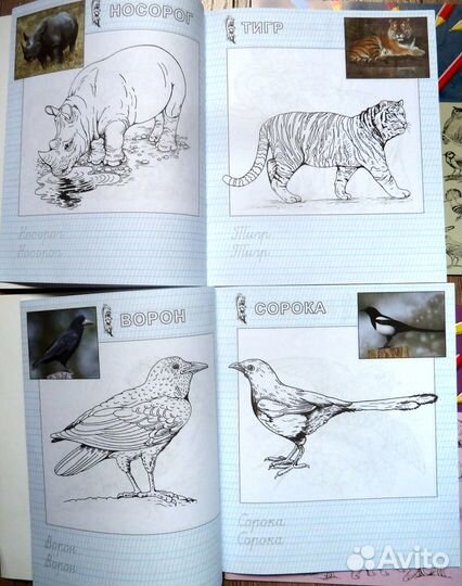 Раскраски для детей с прописями