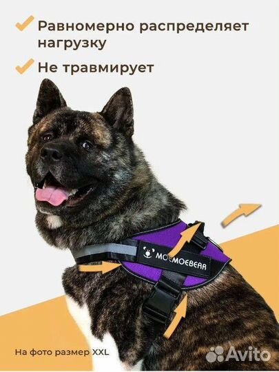 Шлейка для маленькой собаки