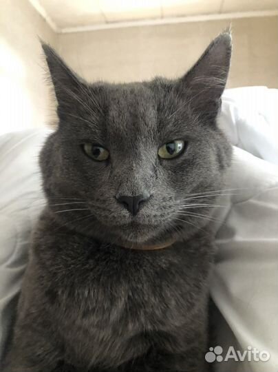 Честный риэлтор по аренде квартир Казань