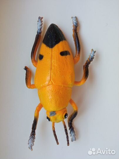 Пони, кони и др