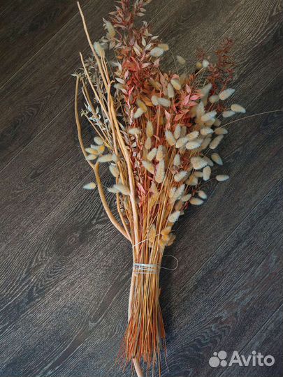 Сухоцветы