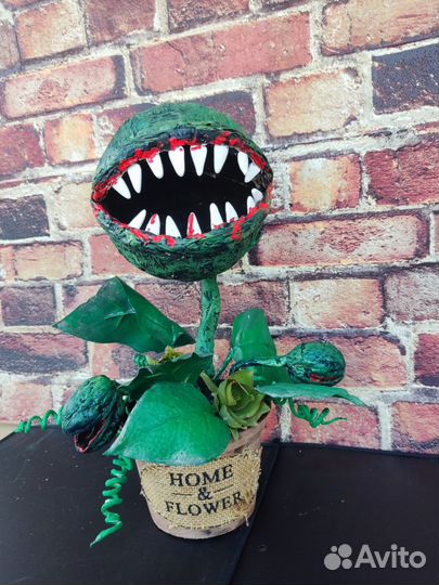 Цветок монстр