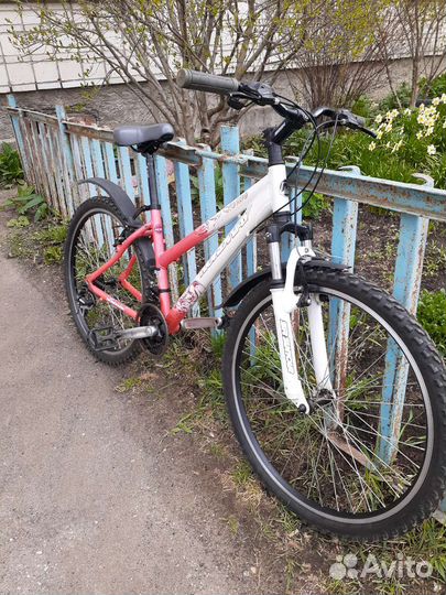 Forward Merida Stels Stern