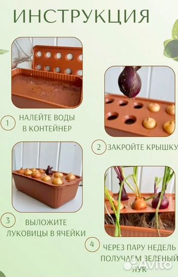 Контейнер для выращивания зелёного лука