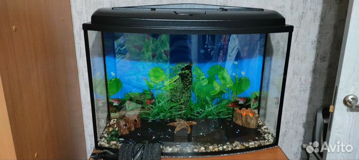 Аквариум