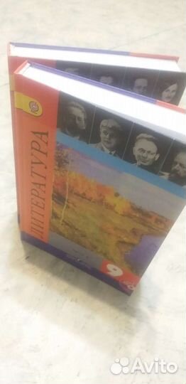 Литература. 9 класс.Коровина. Меркин. бу