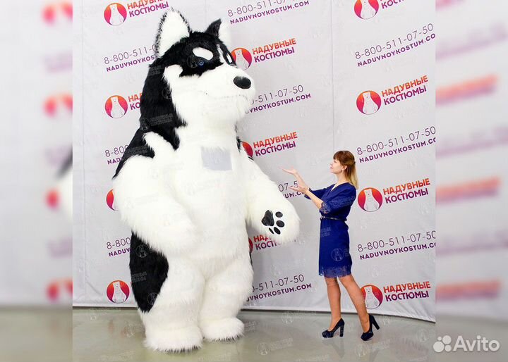 Надувной костюм собака Хаски 2,5 и 3 метра