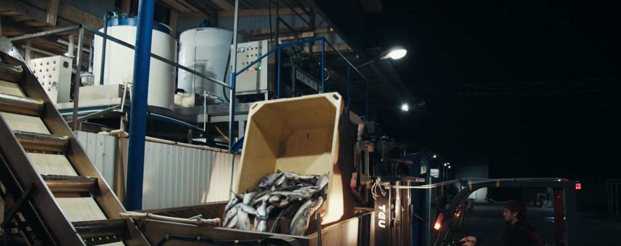 Работодатель ООО "Сонико-Чумикан" — вакансии и отзывы о работодателе на  Авито во всех регионах